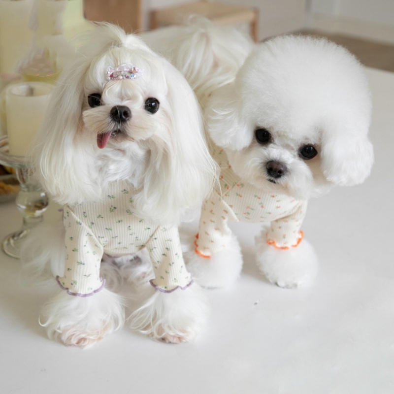 Lace Teddy Lingerie - T-shirt pour chien motif floral automne-hiver,