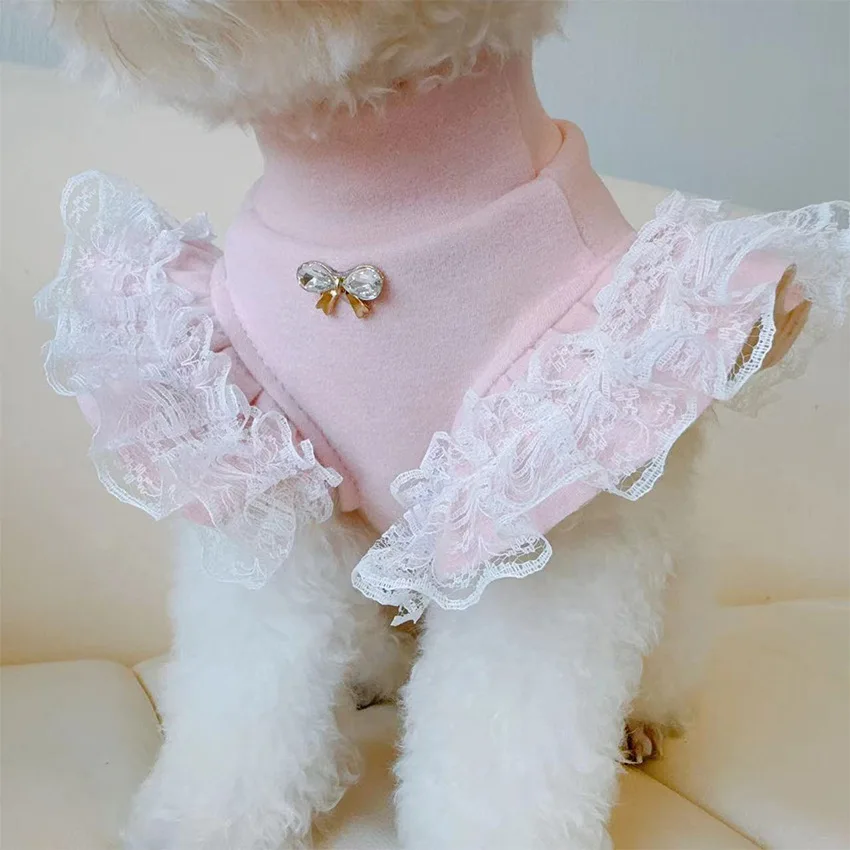 Vêtements pour animaux de comp - Lace Teddy Lingerie avis et prix