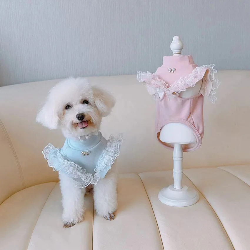 Vêtements pour animaux de comp - Lace Teddy Lingerie avis et prix