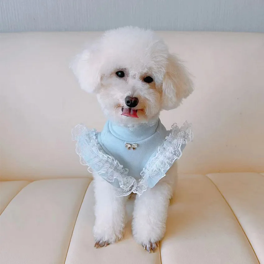 Vêtements pour animaux de comp - Lace Teddy Lingerie avis et prix