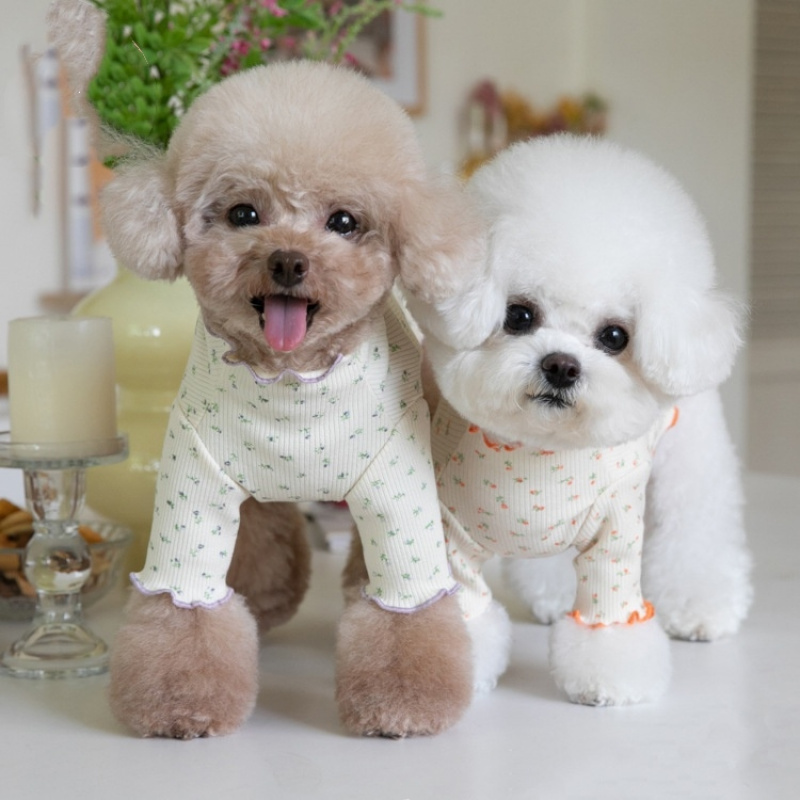 T-shirt pour chien motif flora - Lace Teddy Lingerie avis et prix